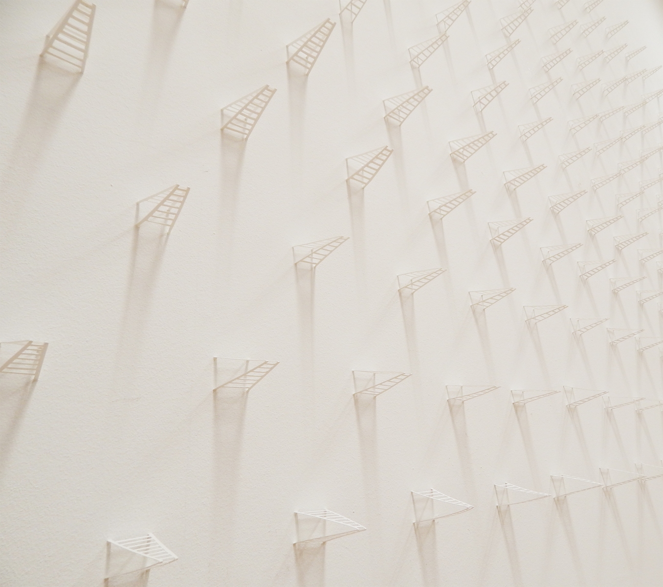 Field of Ladders